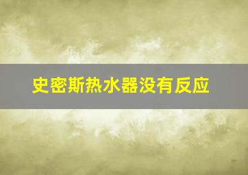 史密斯热水器没有反应