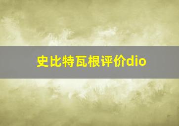 史比特瓦根评价dio