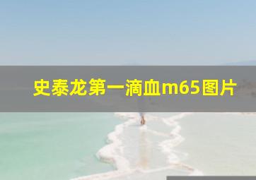 史泰龙第一滴血m65图片