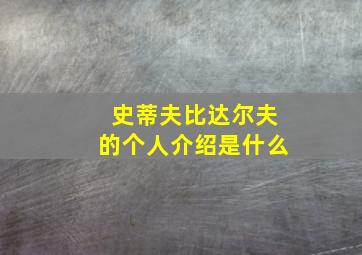 史蒂夫比达尔夫的个人介绍是什么