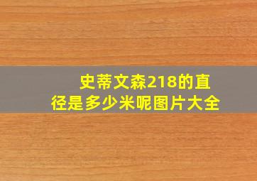 史蒂文森218的直径是多少米呢图片大全