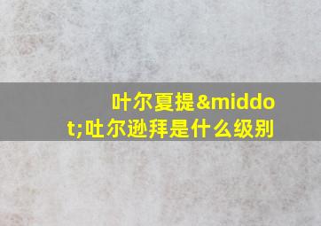 叶尔夏提·吐尔逊拜是什么级别