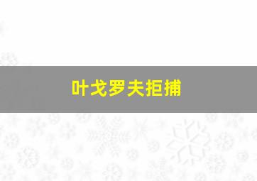 叶戈罗夫拒捕