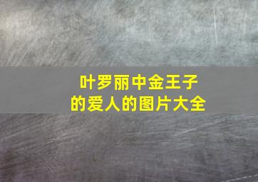 叶罗丽中金王子的爱人的图片大全