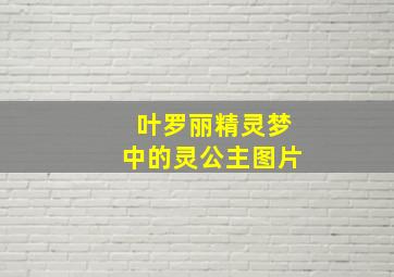 叶罗丽精灵梦中的灵公主图片