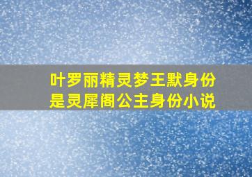 叶罗丽精灵梦王默身份是灵犀阁公主身份小说