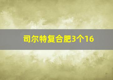 司尔特复合肥3个16