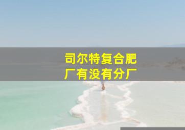 司尔特复合肥厂有没有分厂