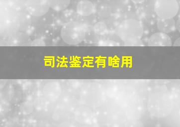 司法鉴定有啥用