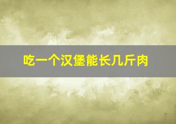 吃一个汉堡能长几斤肉