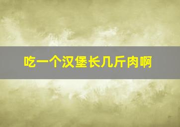 吃一个汉堡长几斤肉啊