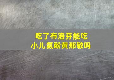 吃了布洛芬能吃小儿氨酚黄那敏吗