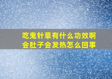 吃鬼针草有什么功效啊会肚子会发热怎么回事