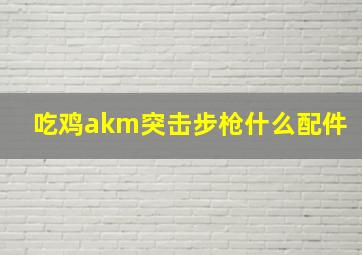 吃鸡akm突击步枪什么配件