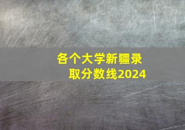 各个大学新疆录取分数线2024