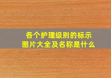 各个护理级别的标示图片大全及名称是什么