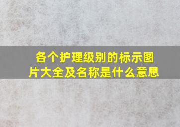 各个护理级别的标示图片大全及名称是什么意思