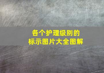 各个护理级别的标示图片大全图解