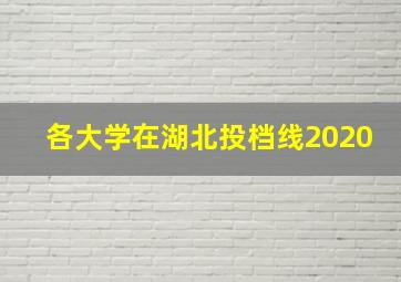 各大学在湖北投档线2020