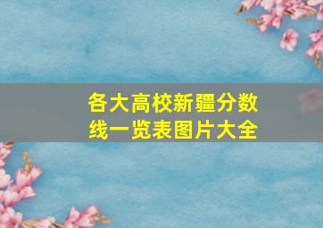 各大高校新疆分数线一览表图片大全