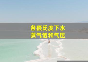 各摄氏度下水蒸气饱和气压