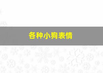 各种小狗表情