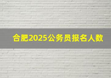 合肥2025公务员报名人数