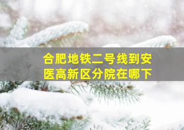 合肥地铁二号线到安医高新区分院在哪下