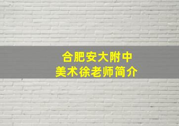 合肥安大附中美术徐老师简介