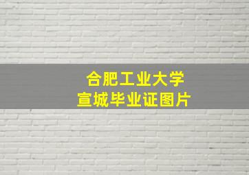 合肥工业大学宣城毕业证图片