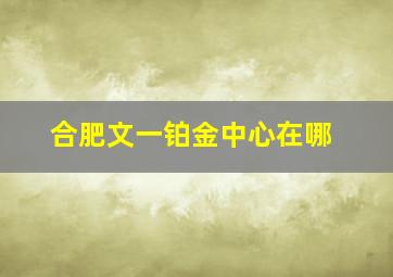 合肥文一铂金中心在哪