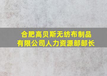 合肥高贝斯无纺布制品有限公司人力资源部部长