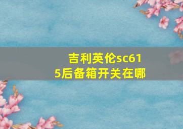 吉利英伦sc615后备箱开关在哪