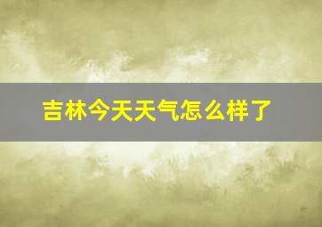 吉林今天天气怎么样了