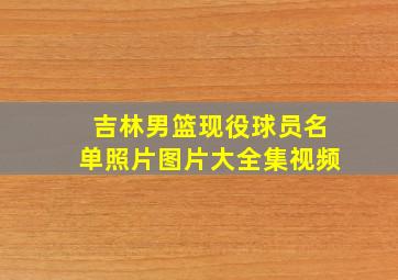 吉林男篮现役球员名单照片图片大全集视频