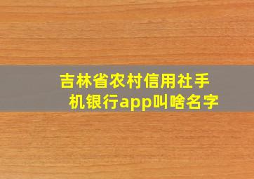 吉林省农村信用社手机银行app叫啥名字