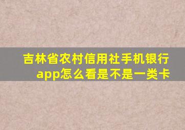 吉林省农村信用社手机银行app怎么看是不是一类卡