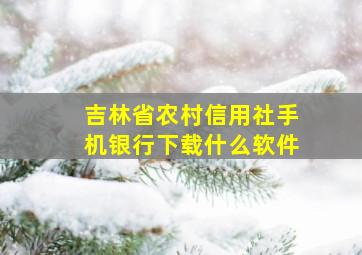 吉林省农村信用社手机银行下载什么软件