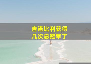 吉诺比利获得几次总冠军了