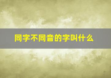 同字不同音的字叫什么