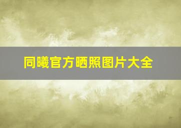 同曦官方晒照图片大全