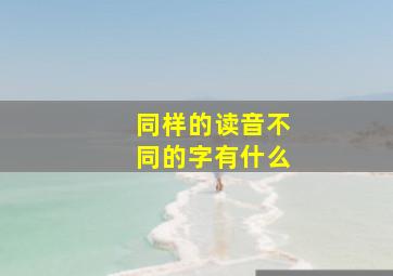 同样的读音不同的字有什么