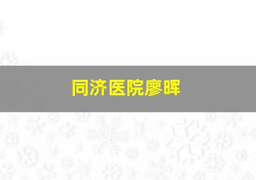 同济医院廖晖