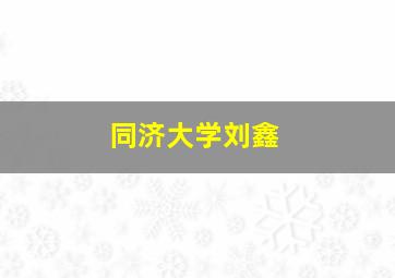 同济大学刘鑫