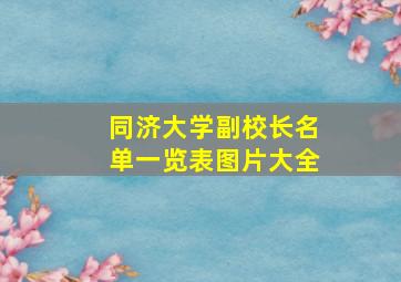 同济大学副校长名单一览表图片大全