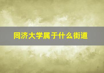 同济大学属于什么街道