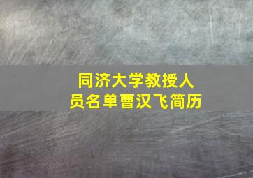 同济大学教授人员名单曹汉飞简历