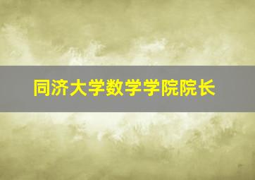 同济大学数学学院院长