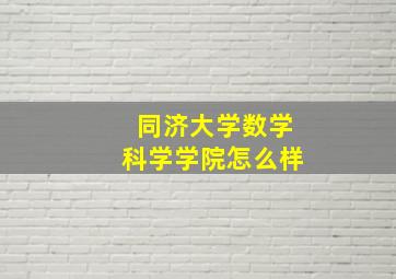 同济大学数学科学学院怎么样