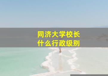 同济大学校长什么行政级别